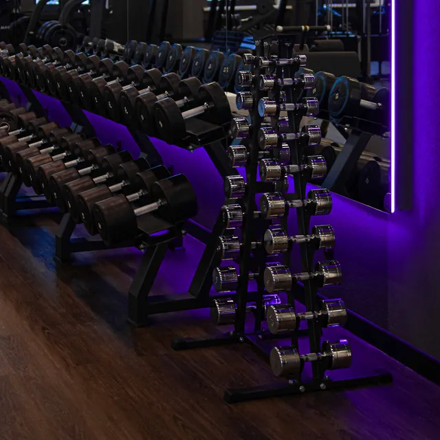 Гантельный ряд хромированный (шаг 1 кг, 10 пар) PROFI-FIT 1-10 кг, фото 3