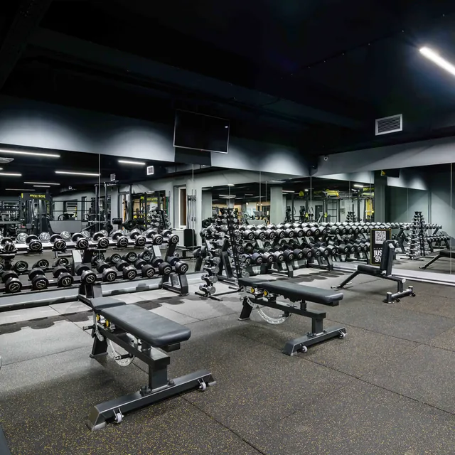 Гантельный ряд профессиональный (шаг 2,5 кг, 5 пар) PROFI-FIT 27,5-37,5 кг, фото 2