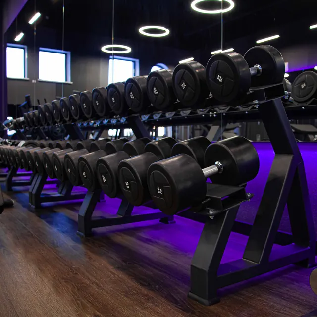 Гантельный ряд силовой (шаг 2,5 кг, 5 пар) PROFI-FIT 40-50 кг, фото 4