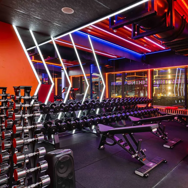 Гантельный ряд силовой (шаг 2,5 кг, 5 пар) PROFI-FIT 40-50 кг, фото 5